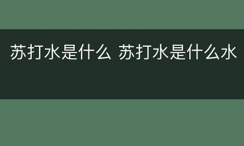 苏打水是什么 苏打水是什么水