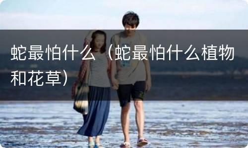 蛇最怕什么（蛇最怕什么植物和花草）