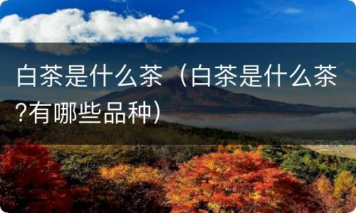 白茶是什么茶（白茶是什么茶?有哪些品种）