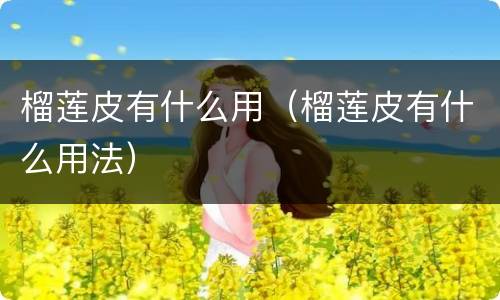 榴莲皮有什么用（榴莲皮有什么用法）