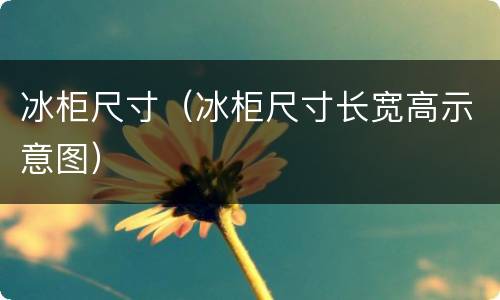 冰柜尺寸（冰柜尺寸长宽高示意图）
