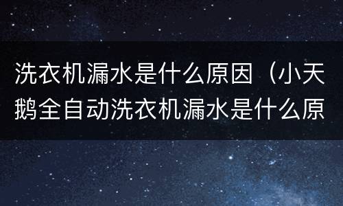 洗衣机漏水是什么原因（小天鹅全自动洗衣机漏水是什么原因）