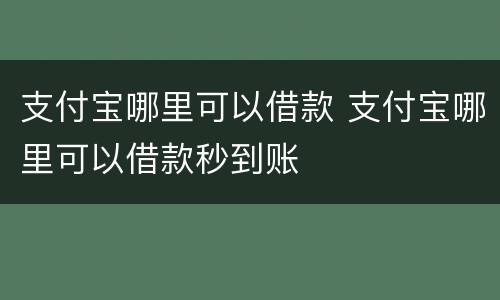 支付宝哪里可以借款 支付宝哪里可以借款秒到账