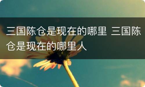三国陈仓是现在的哪里 三国陈仓是现在的哪里人