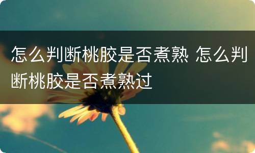 怎么判断桃胶是否煮熟 怎么判断桃胶是否煮熟过