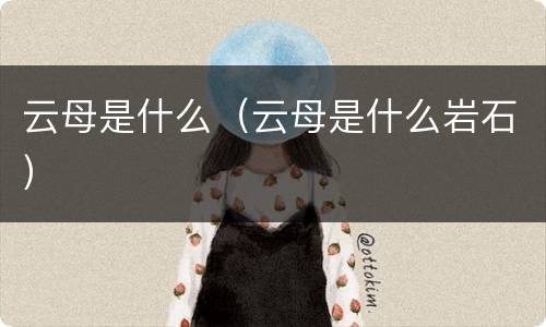 云母是什么（云母是什么岩石）