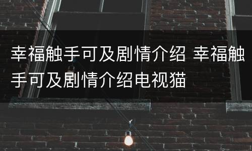 幸福触手可及剧情介绍 幸福触手可及剧情介绍电视猫