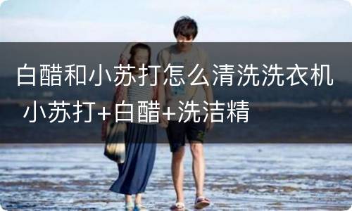 白醋和小苏打怎么清洗洗衣机 小苏打+白醋+洗洁精