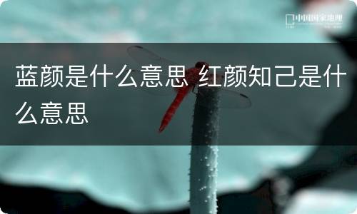 蓝颜是什么意思 红颜知己是什么意思