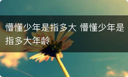 懵懂少年是指多大 懵懂少年是指多大年龄