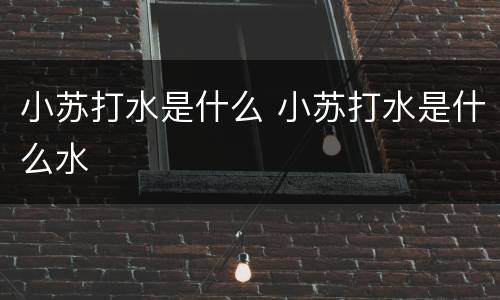 小苏打水是什么 小苏打水是什么水