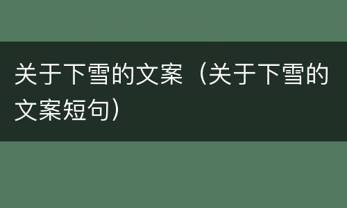 关于下雪的文案（关于下雪的文案短句）