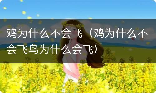 鸡为什么不会飞（鸡为什么不会飞鸟为什么会飞）