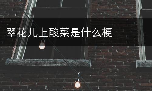 翠花儿上酸菜是什么梗