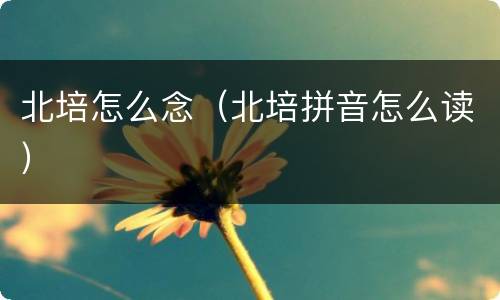 北培怎么念（北培拼音怎么读）