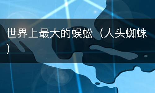 世界上最大的蜈蚣（人头蜘蛛）