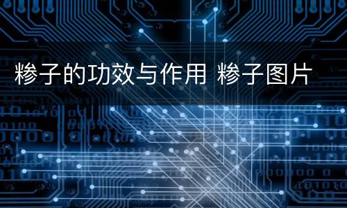 糁子的功效与作用 糁子图片