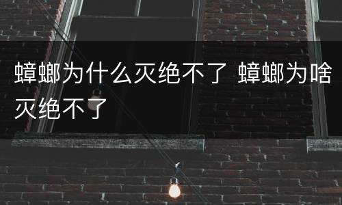 蟑螂为什么灭绝不了 蟑螂为啥灭绝不了