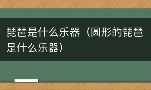 琵琶是什么乐器（圆形的琵琶是什么乐器）