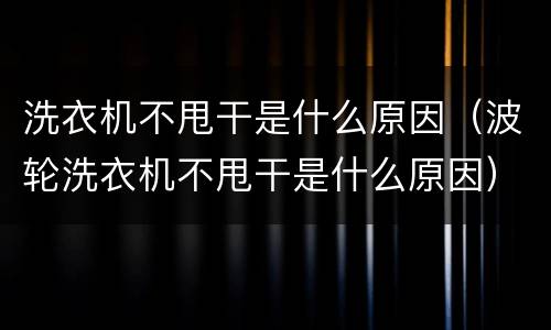 洗衣机不甩干是什么原因（波轮洗衣机不甩干是什么原因）