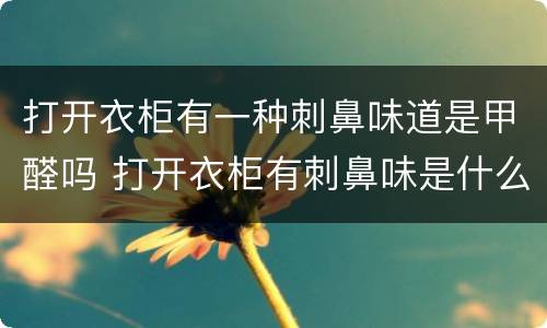 打开衣柜有一种刺鼻味道是甲醛吗 打开衣柜有刺鼻味是什么原因