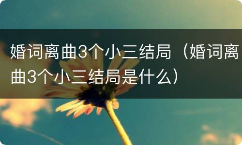 婚词离曲3个小三结局（婚词离曲3个小三结局是什么）