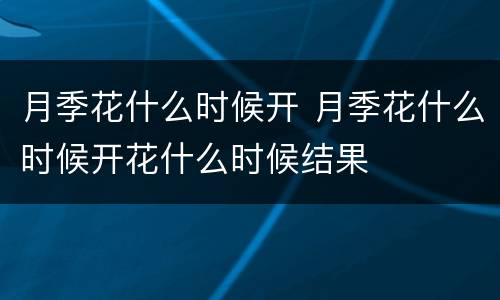 月季花什么时候开 月季花什么时候开花什么时候结果