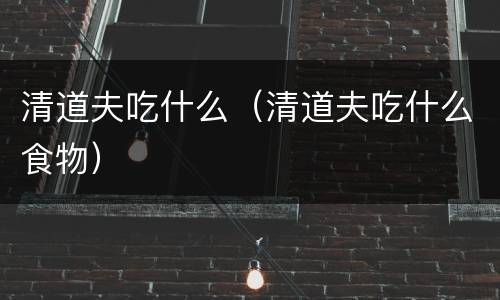 清道夫吃什么（清道夫吃什么食物）