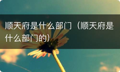 顺天府是什么部门（顺天府是什么部门的）