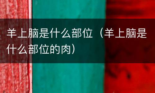 羊上脑是什么部位（羊上脑是什么部位的肉）