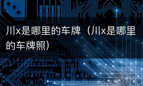 川x是哪里的车牌（川x是哪里的车牌照）