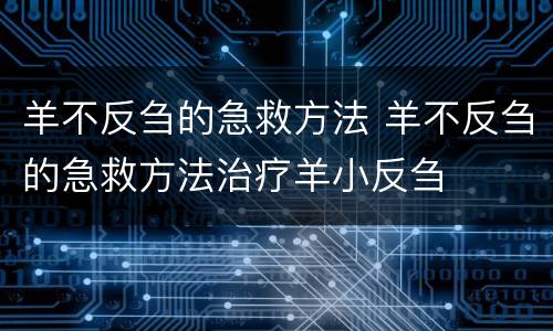 羊不反刍的急救方法 羊不反刍的急救方法治疗羊小反刍