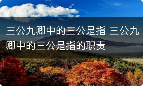 三公九卿中的三公是指 三公九卿中的三公是指的职责