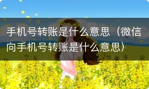 手机号转账是什么意思（微信向手机号转账是什么意思）