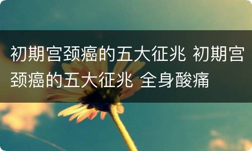 初期宫颈癌的五大征兆 初期宫颈癌的五大征兆 全身酸痛