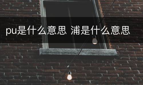pu是什么意思 浦是什么意思
