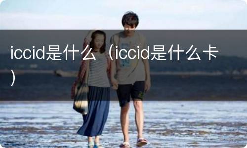 iccid是什么（iccid是什么卡）