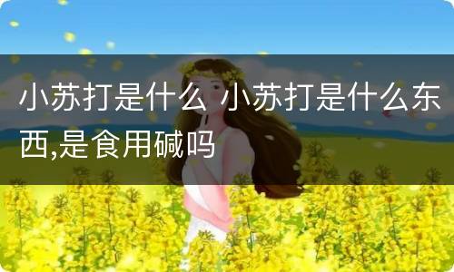 小苏打是什么 小苏打是什么东西,是食用碱吗