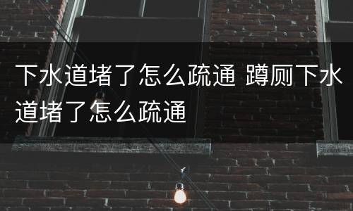 下水道堵了怎么疏通 蹲厕下水道堵了怎么疏通