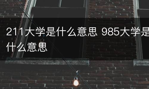 211大学是什么意思 985大学是什么意思