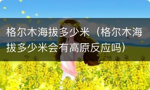 格尔木海拔多少米（格尔木海拔多少米会有高原反应吗）