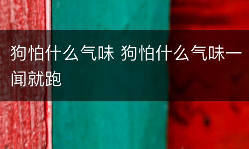 狗怕什么气味 狗怕什么气味一闻就跑