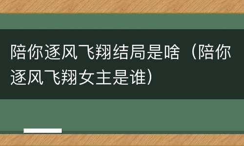 陪你逐风飞翔结局是啥（陪你逐风飞翔女主是谁）