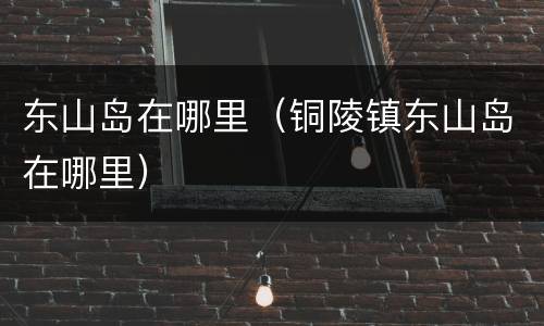东山岛在哪里（铜陵镇东山岛在哪里）
