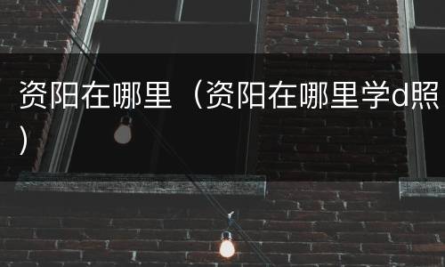 资阳在哪里（资阳在哪里学d照）