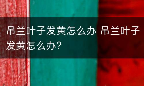 吊兰叶子发黄怎么办 吊兰叶子发黄怎么办?