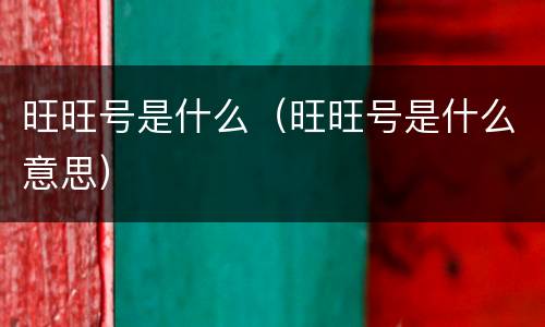 旺旺号是什么（旺旺号是什么意思）