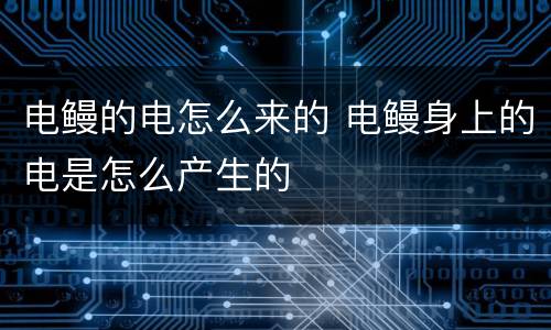 电鳗的电怎么来的 电鳗身上的电是怎么产生的