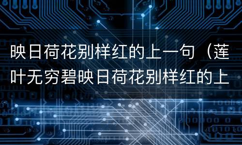 映日荷花别样红的上一句（莲叶无穷碧映日荷花别样红的上一句）