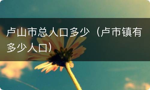 卢山市总人口多少（卢市镇有多少人口）